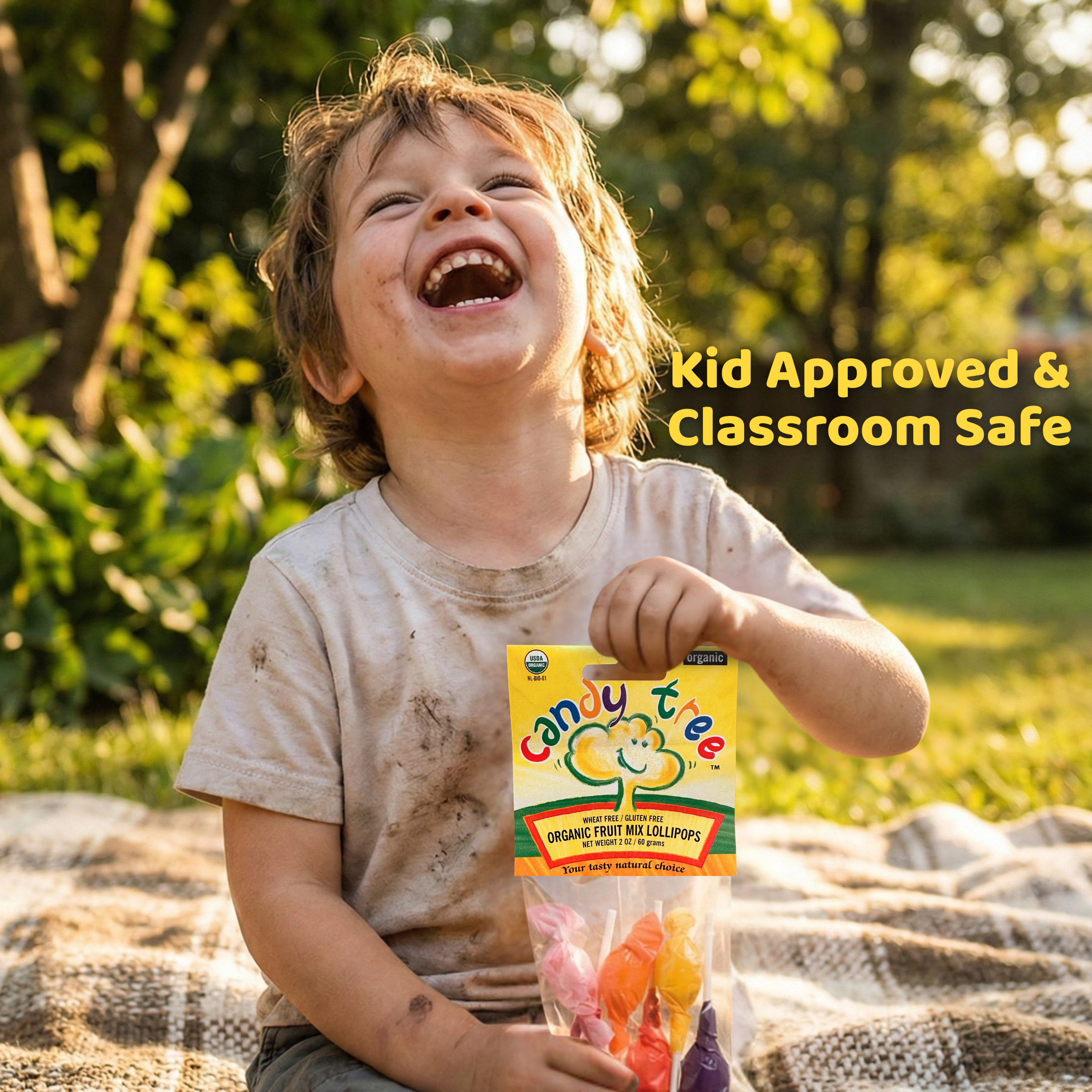 Organic Fruit Mix Lollipops